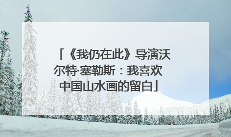 《我仍在此》导演沃尔特·塞勒斯：我喜欢中国山水画的留白