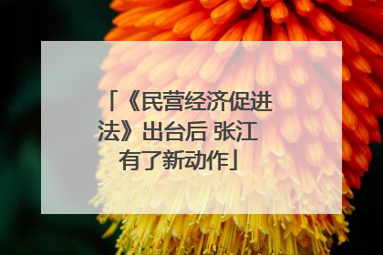 《民营经济促进法》出台后 张江有了新动作