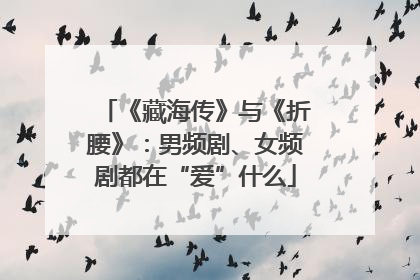 《藏海传》与《折腰》：男频剧、女频剧都在“爱”什么