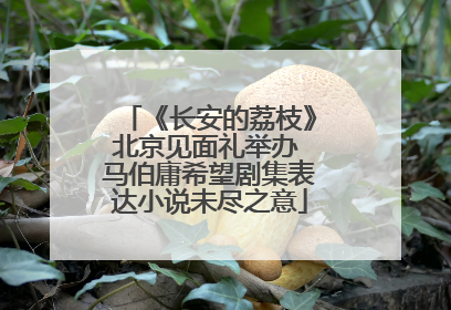 《长安的荔枝》北京见面礼举办 马伯庸希望剧集表达小说未尽之意