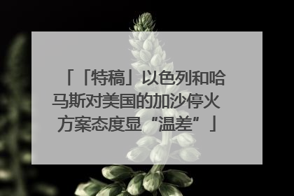 「特稿」以色列和哈马斯对美国的加沙停火方案态度显“温差”