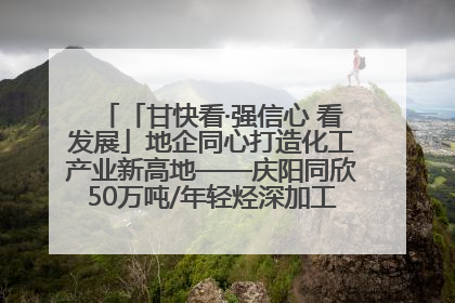 「甘快看·强信心 看发展」地企同心打造化工产业新高地——庆阳同欣50万吨/年轻烃深加工项目建设见闻