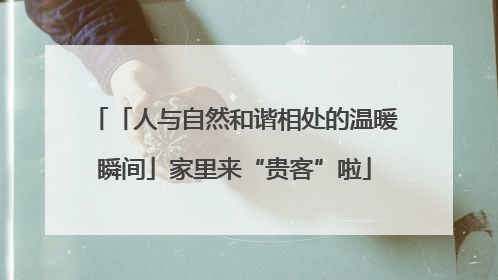 「人与自然和谐相处的温暖瞬间」家里来“贵客”啦