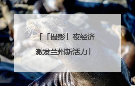 「摄影」夜经济激发兰州新活力