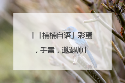 「楠楠自语」彩蛋，手雷，邋遢帅