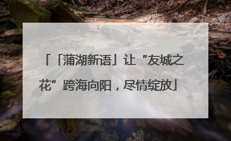 「蒲湖新语」让“友城之花”跨海向阳，尽情绽放