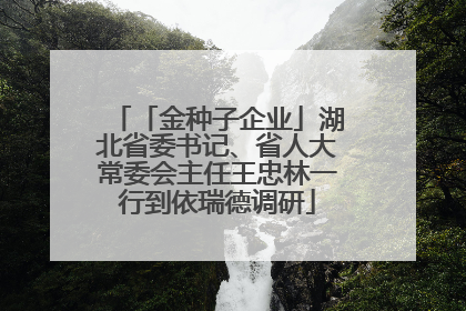 「金种子企业」湖北省委书记、省人大常委会主任王忠林一行到依瑞德调研