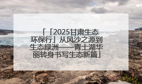 「2025甘肃生态环保行」从风沙之源到生态绿洲——青土湖华丽转身书写生态新篇