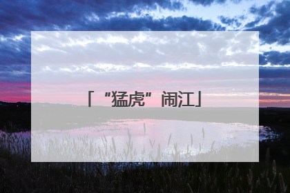 “猛虎”闹江