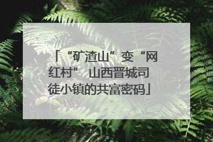 “矿渣山”变“网红村” 山西晋城司徒小镇的共富密码
