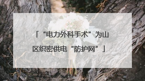 “电力外科手术”为山区织密供电“防护网”