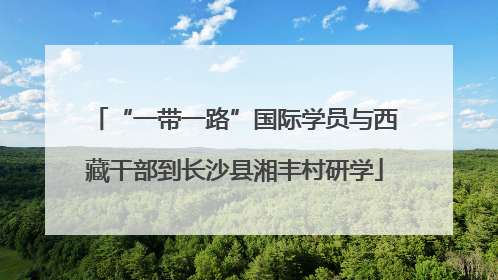 “一带一路”国际学员与西藏干部到长沙县湘丰村研学