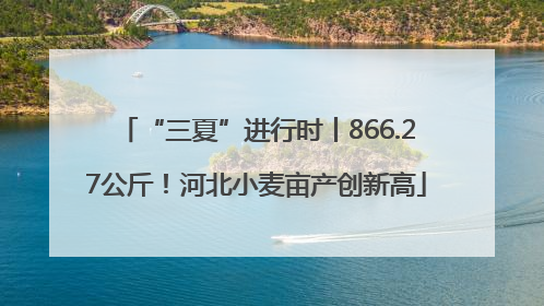 “三夏”进行时丨866.27公斤！河北小麦亩产创新高