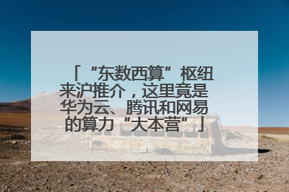 “东数西算”枢纽来沪推介，这里竟是华为云、腾讯和网易的算力“大本营”