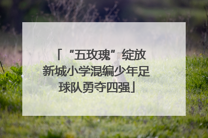 “五玫瑰”绽放 新城小学混编少年足球队勇夺四强