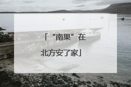 “南果”在北方安了家