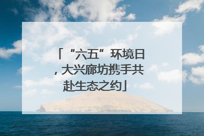 “六五”环境日，大兴廊坊携手共赴生态之约