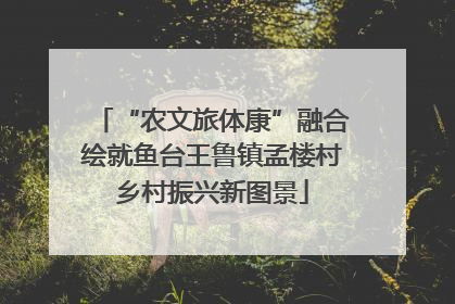 “农文旅体康”融合绘就鱼台王鲁镇孟楼村乡村振兴新图景