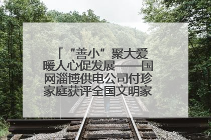 “善小”聚大爱 暖人心促发展——国网淄博供电公司付珍家庭获评全国文明家庭背后的文明密码