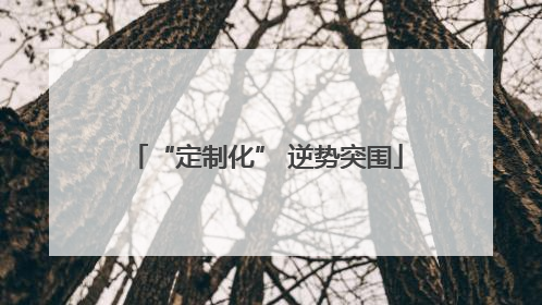 “定制化” 逆势突围