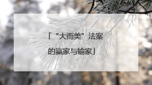 “大而美”法案的赢家与输家