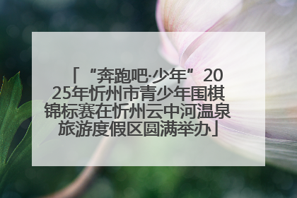 “奔跑吧·少年”2025年忻州市青少年围棋锦标赛在忻州云中河温泉旅游度假区圆满举办