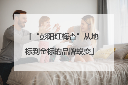 “彭阳红梅杏”从地标到金标的品牌蜕变