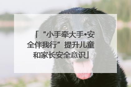 “小手牵大手•安全伴我行”提升儿童和家长安全意识