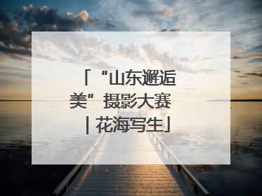 “山东邂逅美”摄影大赛｜花海写生