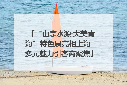 “山宗水源·大美青海”特色展亮相上海 多元魅力引客商聚焦