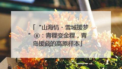 “山海情・雪域援梦”⑧：青稞变金稞，青岛援藏的高原样本