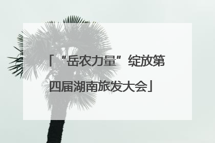 “岳农力量”绽放第四届湖南旅发大会