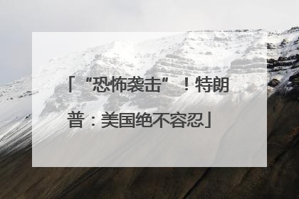 “恐怖袭击”！特朗普：美国绝不容忍