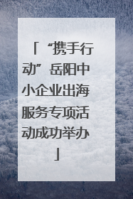 “携手行动”岳阳中小企业出海服务专项活动成功举办