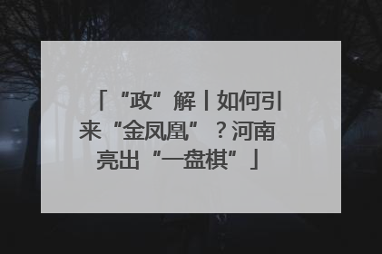 “政”解丨如何引来“金凤凰”？河南亮出“一盘棋”