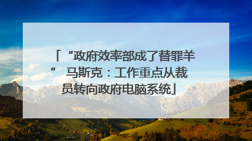 “政府效率部成了替罪羊” 马斯克：工作重点从裁员转向政府电脑系统