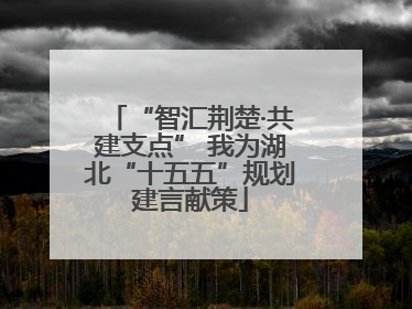 “智汇荆楚·共建支点” 我为湖北“十五五”规划建言献策