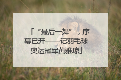 “最后一舞”，序幕已开——记羽毛球奥运冠军黄雅琼