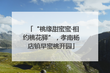 “桃缘甜蜜蜜·相约桃花驿”，孝南杨店镇早蜜桃开园