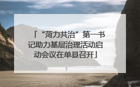 “菏力共治”第一书记助力基层治理活动启动会议在单县召开
