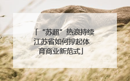 “苏超”热浪持续 江苏省如何撑起体育商业新范式