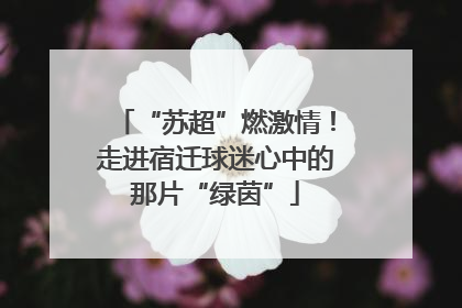 “苏超”燃激情！走进宿迁球迷心中的那片“绿茵”