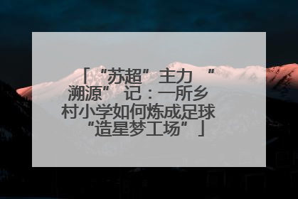 “苏超”主力 “溯源” 记：一所乡村小学如何炼成足球 “造星梦工场”