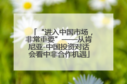 “进入中国市场，非常重要”——从肯尼亚-中国投资对话会看中非合作机遇