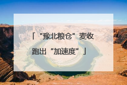 “豫北粮仓”麦收跑出“加速度”