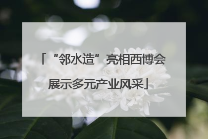 “邻水造”亮相西博会 展示多元产业风采