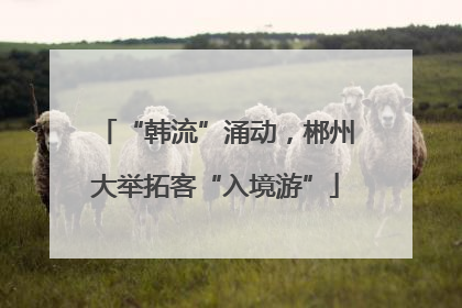 “韩流”涌动，郴州大举拓客“入境游”