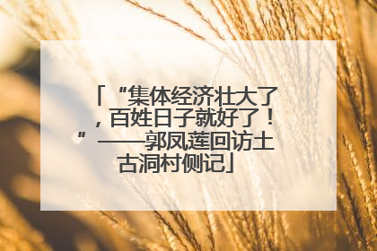 “集体经济壮大了，百姓日子就好了！”——郭凤莲回访土古洞村侧记