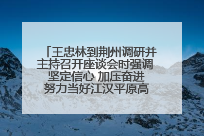 王忠林到荆州调研并主持召开座谈会时强调 坚定信心 加压奋进 努力当好江汉平原高质量发展排头兵