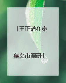 王正谱在秦皇岛市调研
